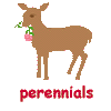 Perennials deer don't eat
